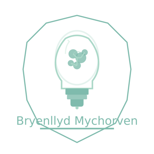 Bryenllyd Mychorven Logo