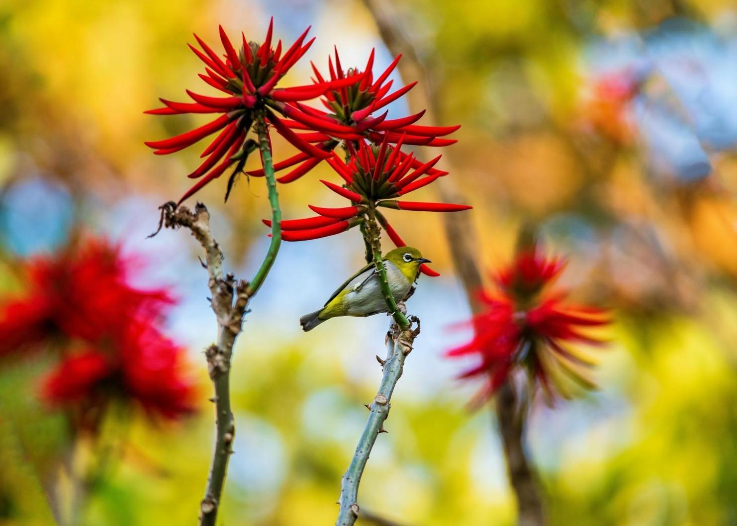 Romantik buket düzenlemesi