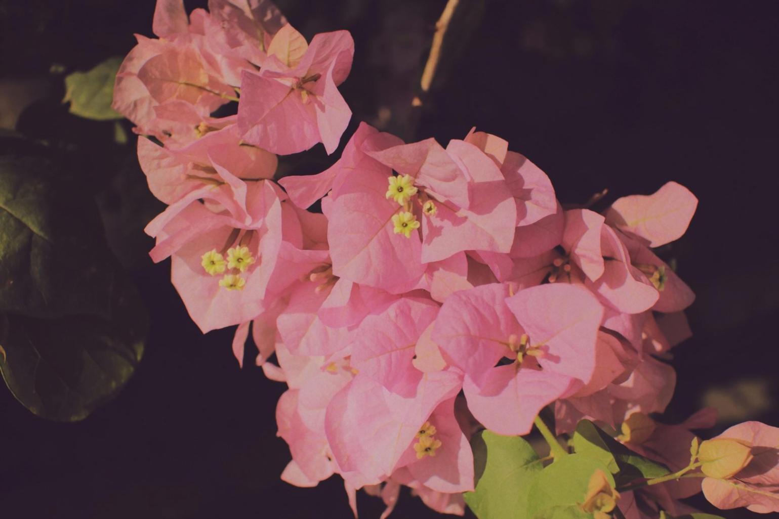 Çiçek tasarım atölyesi çalışması