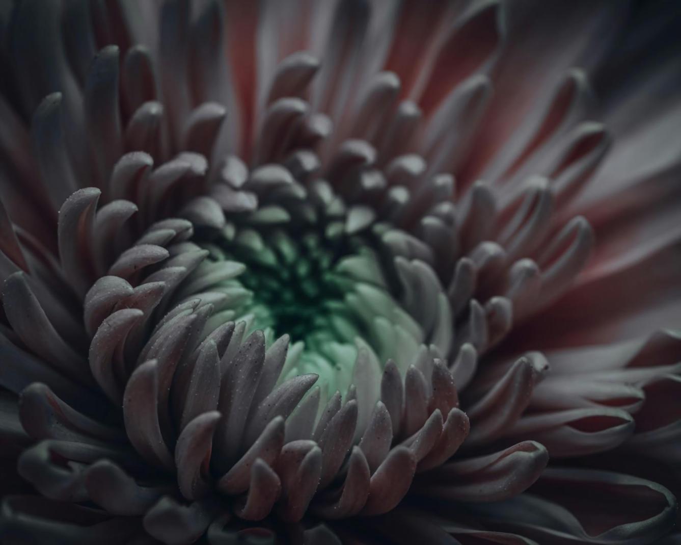 Modern çiçek kompozisyonu