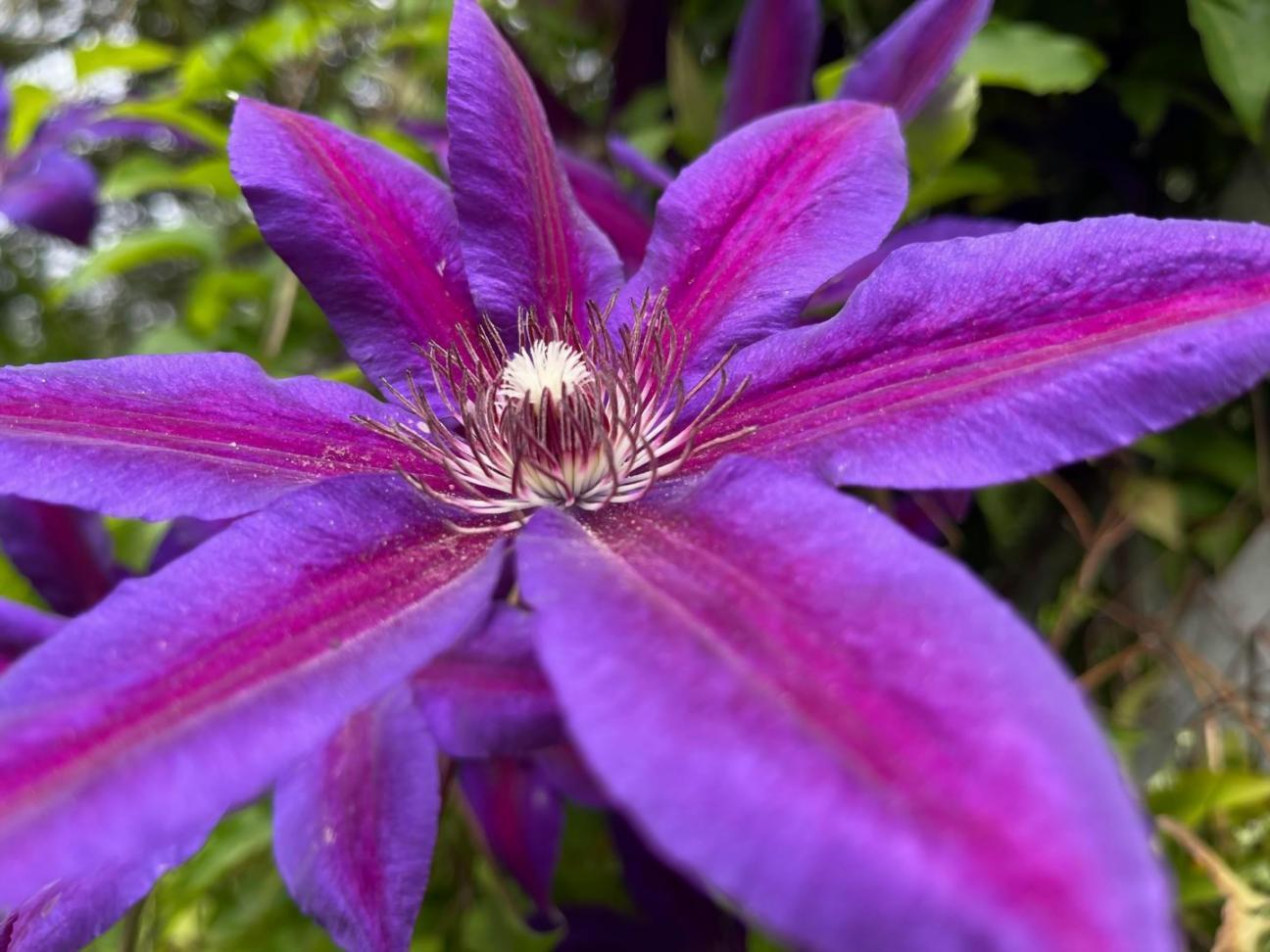 Özenle hazırlanmış özel çiçek buketi tasarımı